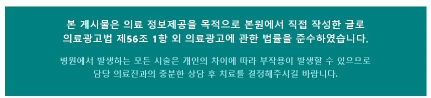 반려동물 건강 관리법 2026: 역삼동 동물병원 경험자가 알려주는 핵심