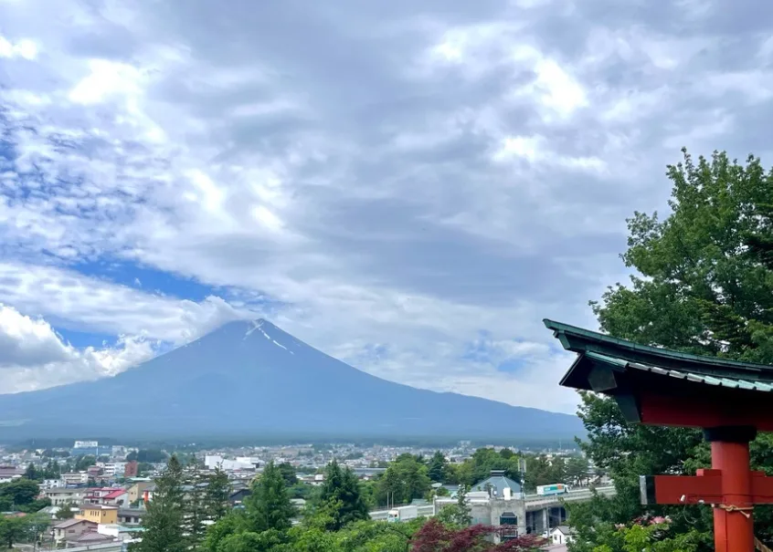 Tokyo in November 2026: Weather, Outfits & Fall Foliage Guide 3