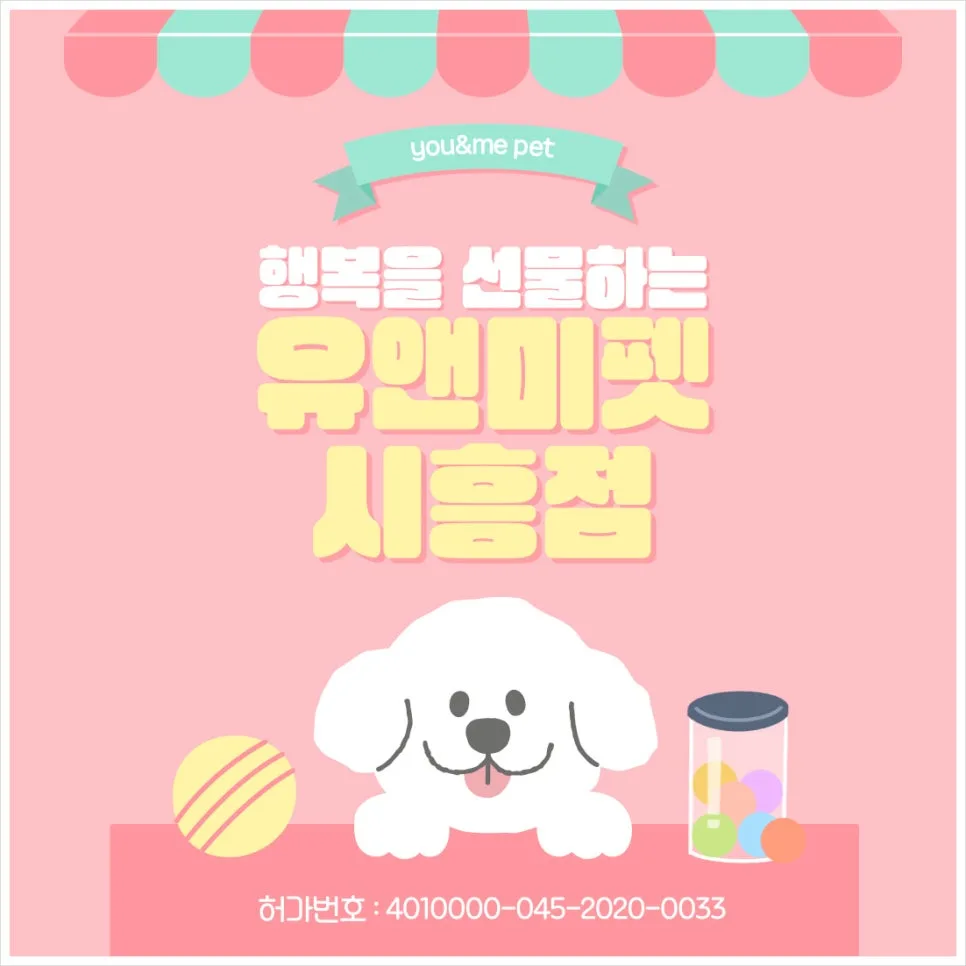 평택 포메라니안 분양 2026: 유앤미펫 경험 기반 완벽 가이드 — 반려동물 — dbdosalvpt