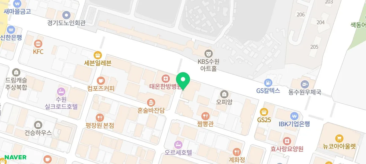 오산 고양이 분양, 무무와의 특별한 만남 후기 — 반려동물 — pyk6825
