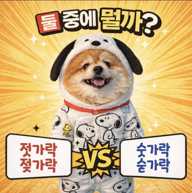 숟가락 vs 젓가락 올바른 맞춤법 2026년 총정리