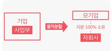 물적분할이란 무엇인가? 2026년 투자자 필독 핵심 정리
