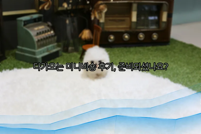 스탠다드푸들 분양 2026: 상주 강아지 입양 상담 실제 후기