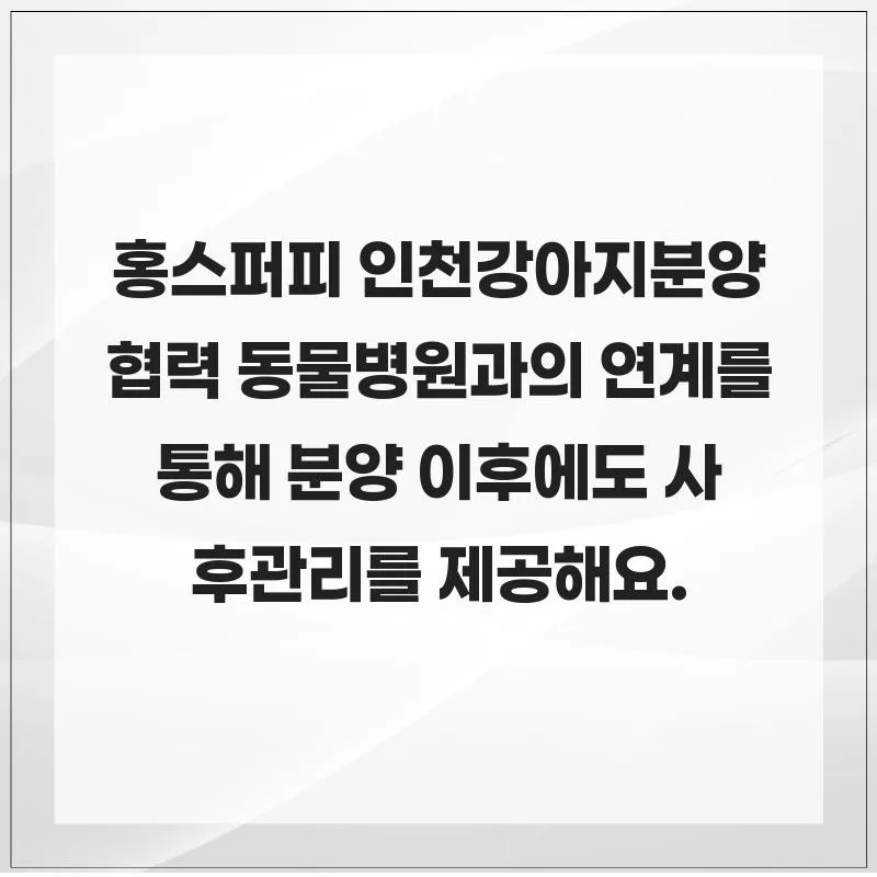 인천 강아지 분양 2026: 홍스퍼피의 책임 분양 시스템 완벽 분석