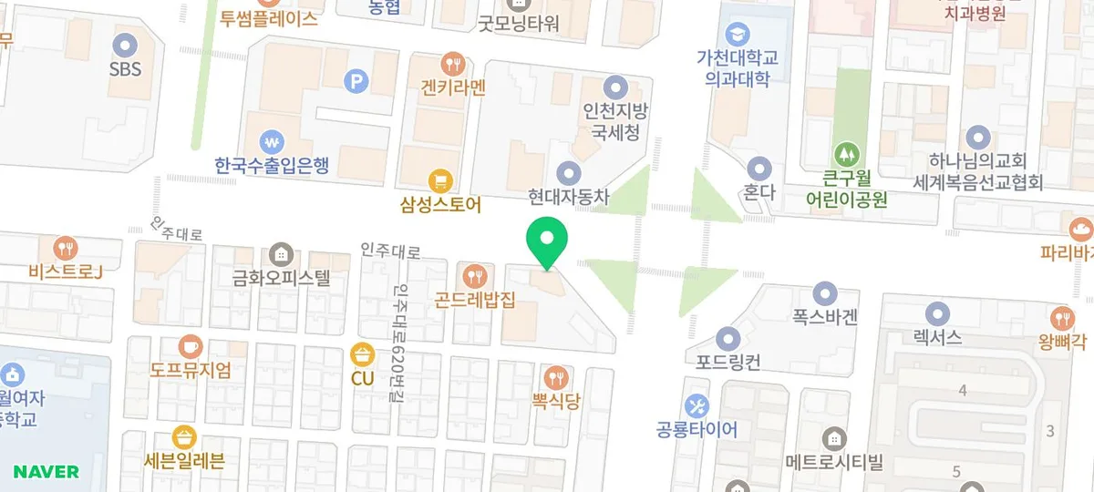 인천 강아지 분양 2026: 홍스퍼피의 책임 분양 시스템 완벽 분석 2