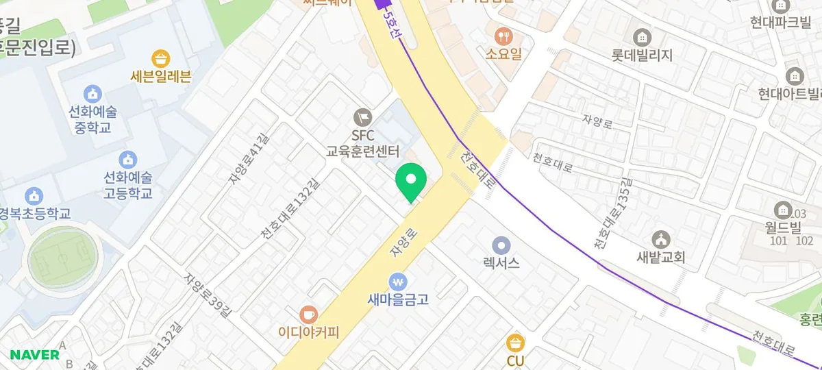 브리티쉬숏헤어 가정분양 2026: 행복한 반려 생활 시작 가이드