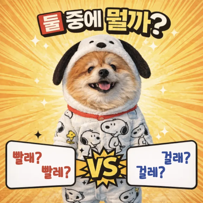 빨래와 걸레, 2026년에도 헷갈린다면? 올바른 맞춤법 정리