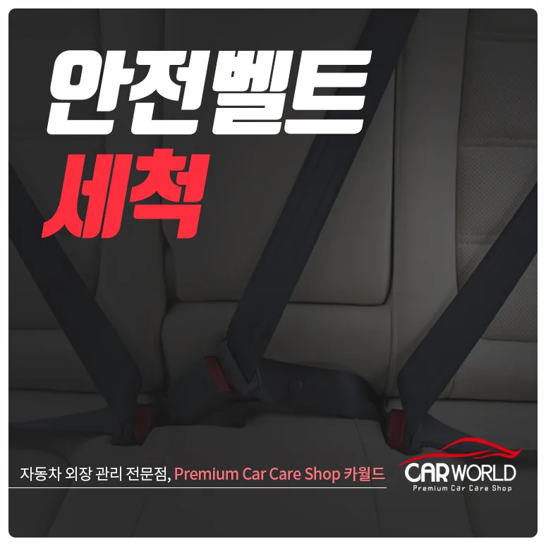 2026년 자동차 안전벨트 세척법: 세균 걱정 끝내는 완벽 가이드