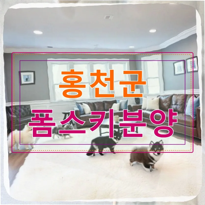 홍천 폼스키 분양, 실패 경험 후 믿을 수 있는 곳 찾는 법 2026