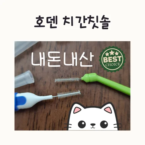 호덴 치간칫솔 L형 3S 후기 2026: 내돈내산 솔직 비교