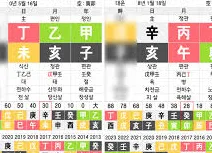 안재현 사주 신해일주 특징과 구혜선 이혼 원인 분석 2026 2