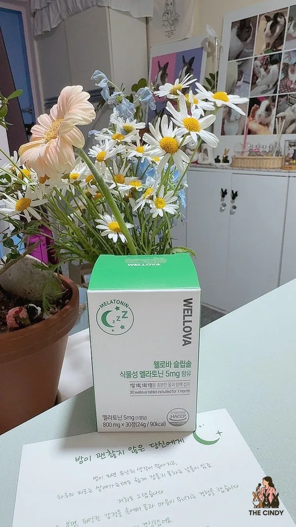 식물성 멜라토닌 5mg, 수면 영양제 효과 2026년 최신 분석 2
