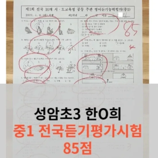 초3 영어 수준은? 2026년 SYP어학원 경험자가 분석한 학습 로드맵