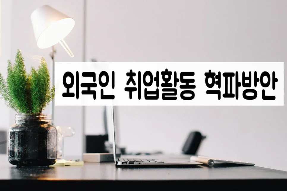 외국인 유학생 취업 비자 2026: 졸업 후 3년 전면 허용 및 E-7-4 확대