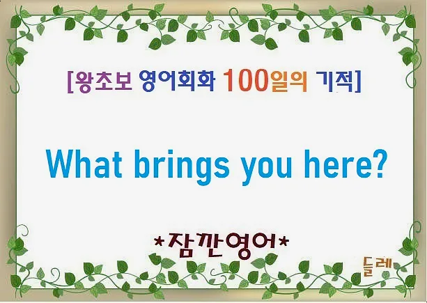 What brings you here? 2026년 영어 회화 핵심 질문 완벽 정리