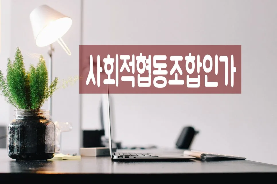 사회적협동조합 설립인가 절차 완벽 분석 2026