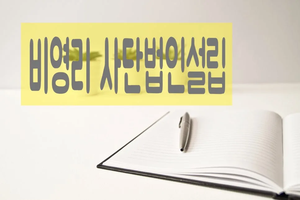 비영리사단법인 설립 절차 완벽 가이드 2026