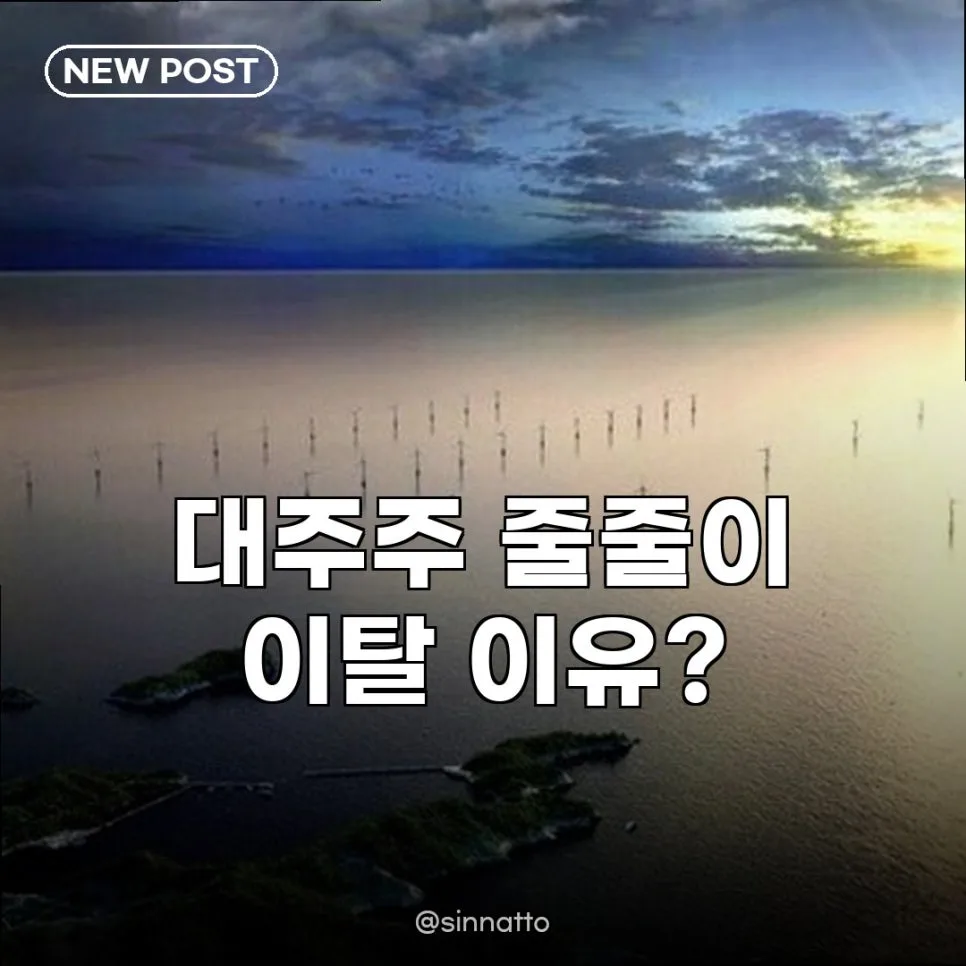 안마해상풍력 대주주 이탈 2026: 사업 중단·취소 이유와 영향 총정리