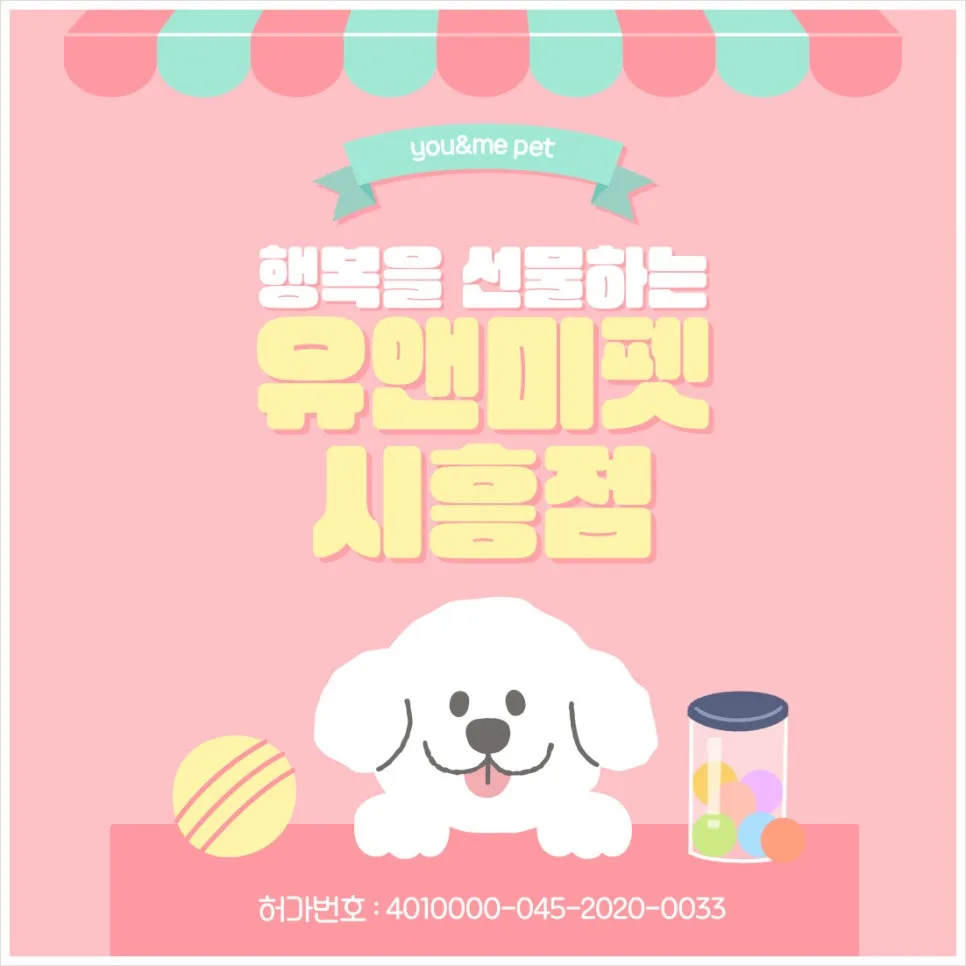 평택 페르시안 고양이 분양 2026: 유앤미펫 경험 후기 총정리