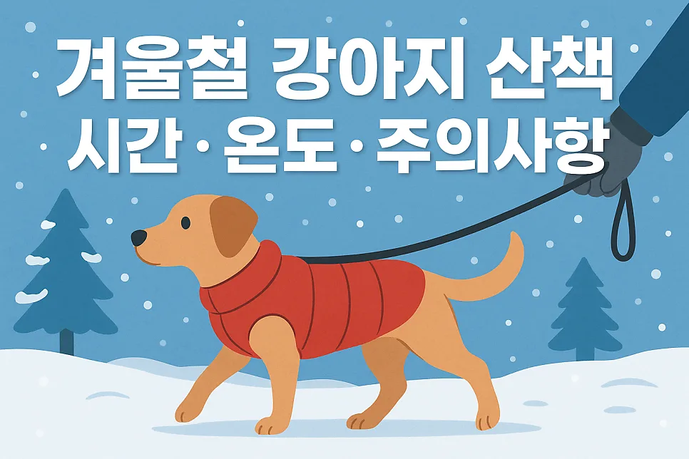 2026년 겨울 강아지 산책 시간, 온도별 가이드와 필수 주의사항