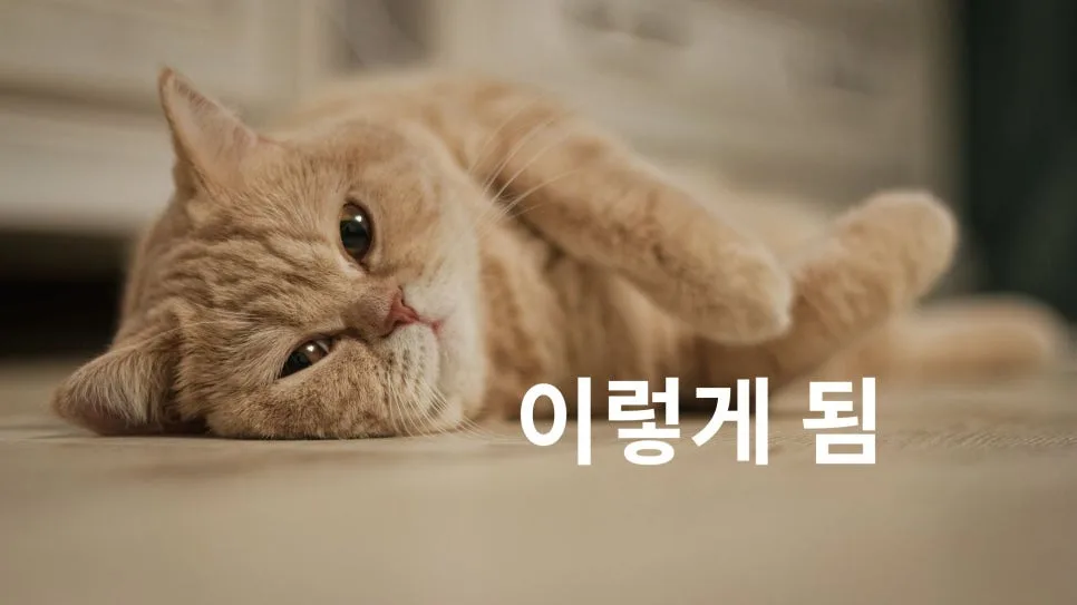 초등 학원, 아이 문해력 저하 부를까? 2026년 부모 필독