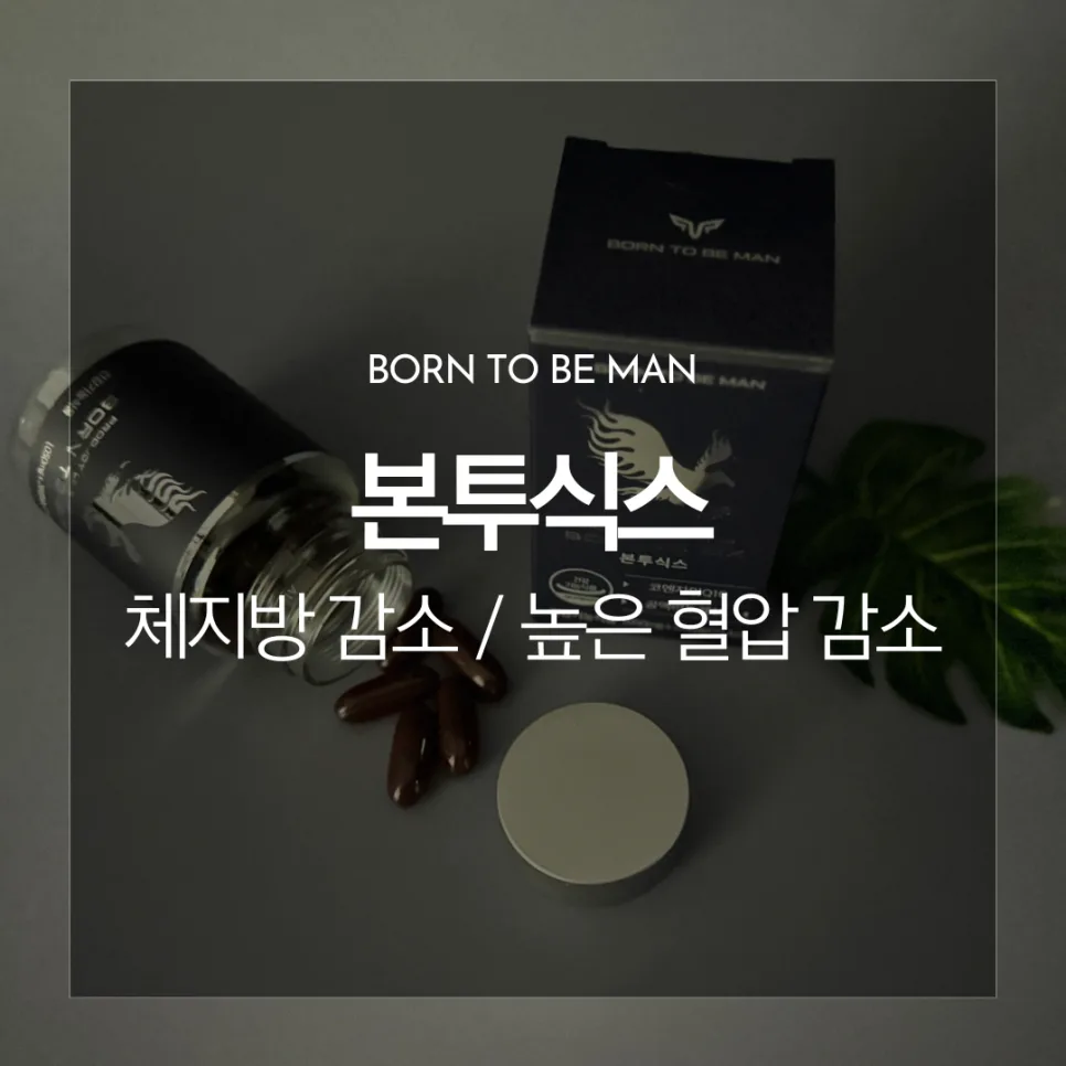 본투식스 다이어트, 술배·혈압 고민 남성 위한 솔루션 2026