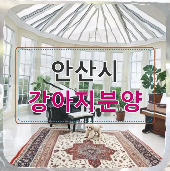 안산시 강아지분양, 충동 입양 전 말티푸·페키니즈 비교 2026