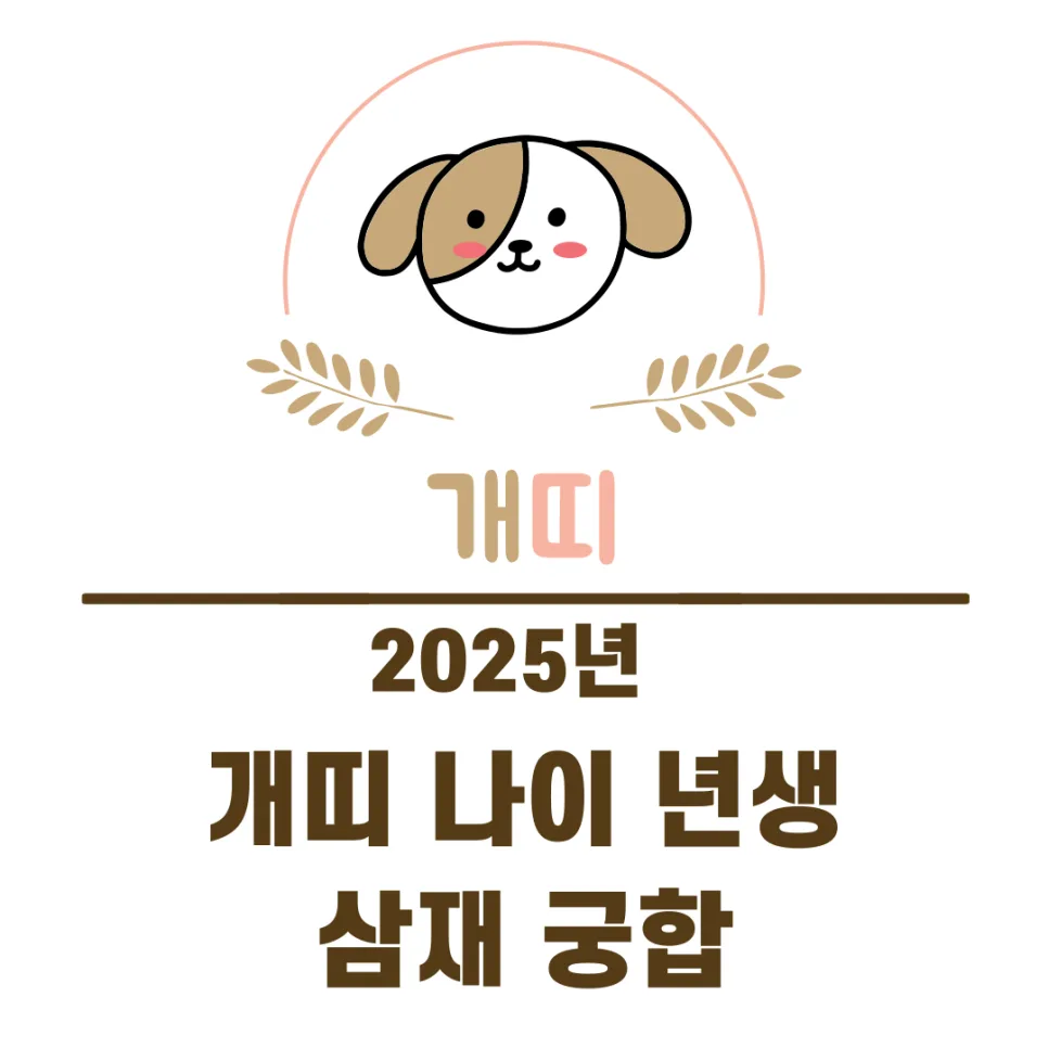 2025년 개띠 운세, 나이, 삼재, 궁합 완벽 분석 (2026년 전망)