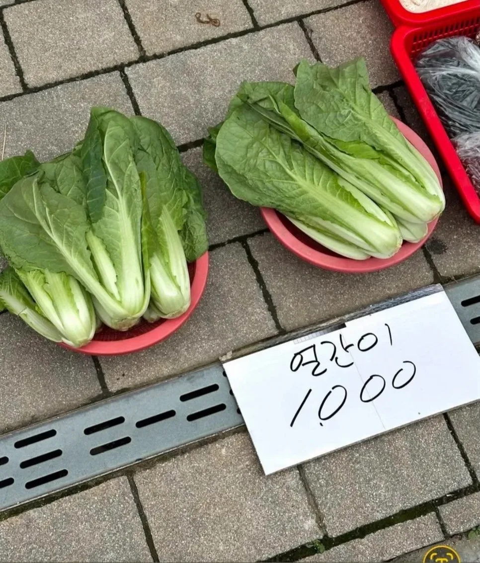주식 투자 손실, 2026년 극복 전략과 심리 관리법 2