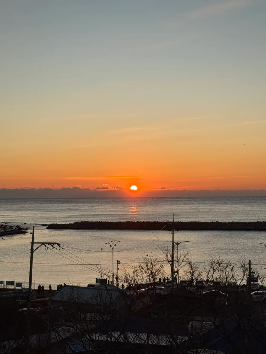 2026년 1분기 요약: 새해 다짐, 생일, 그리고 일상 기록