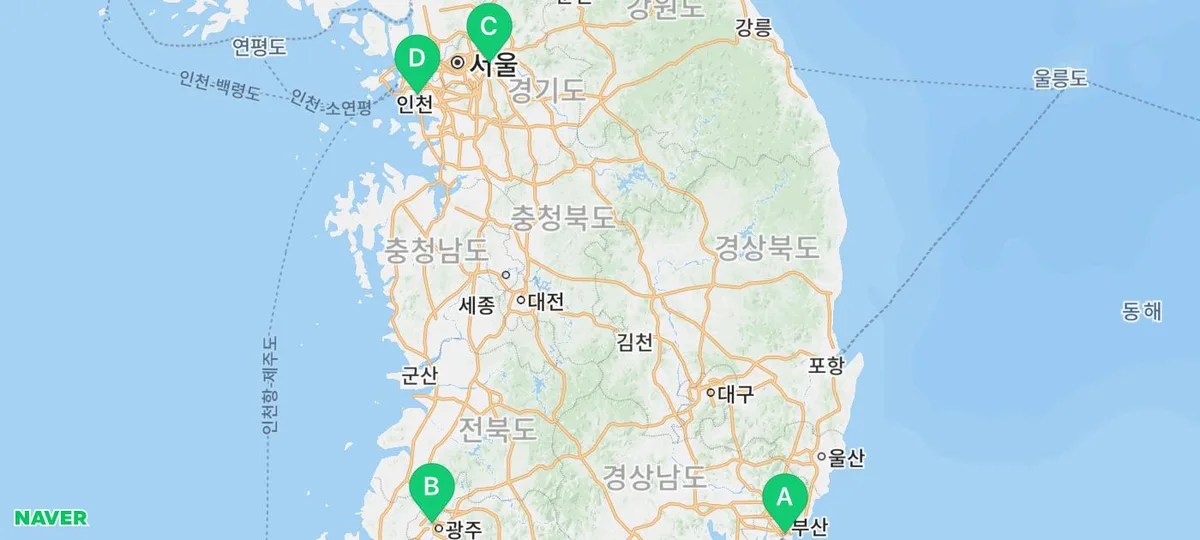 대구 강아지 분양, 믿을 수 있는 곳 찾는 법 2026