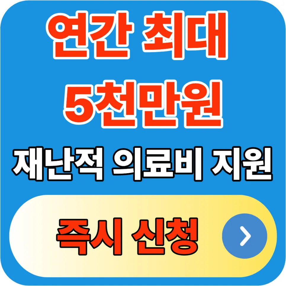 재난적의료비 지원 2026년 신청 조건 및 한도 총정리