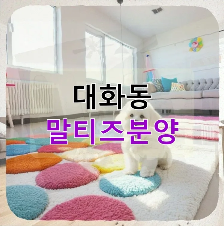 대화동 말티즈 분양 후 반려 생활 고민 해결기 2026