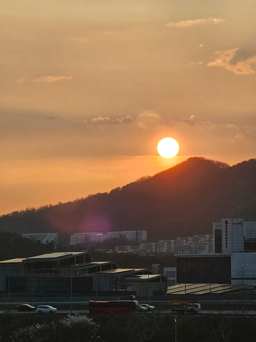 2026년 4월 일상 기록: 벚꽃, 여행, 그리고 소소한 행복