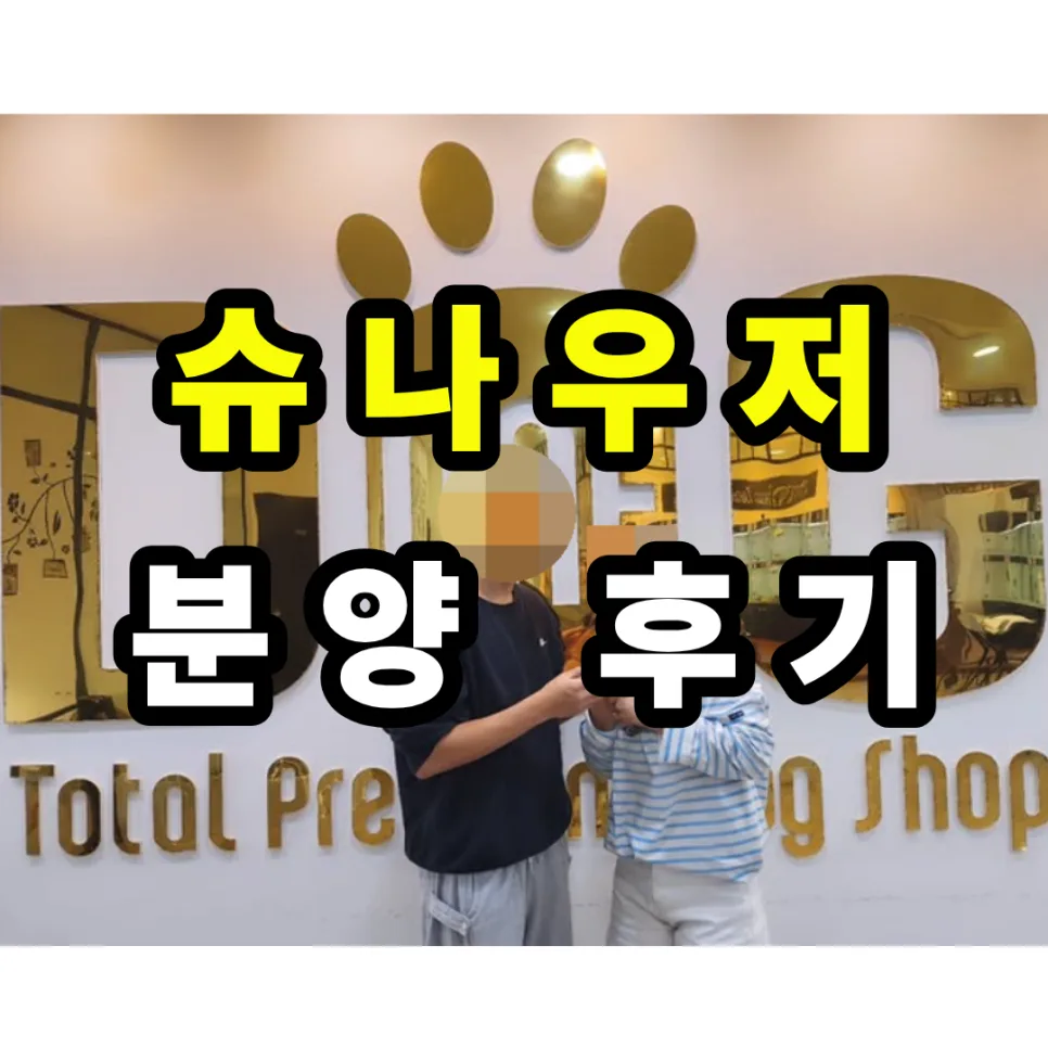 슈나우저 입양 후기 2026: 세종 원독 애견센터 경험담 2