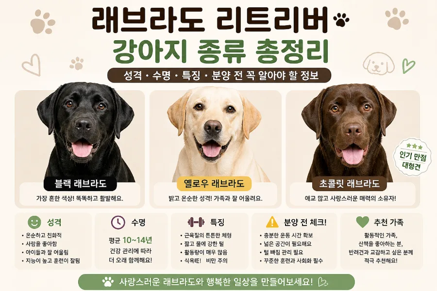 Labrador Retriever 2026: Your Essential Guide Before You Buy