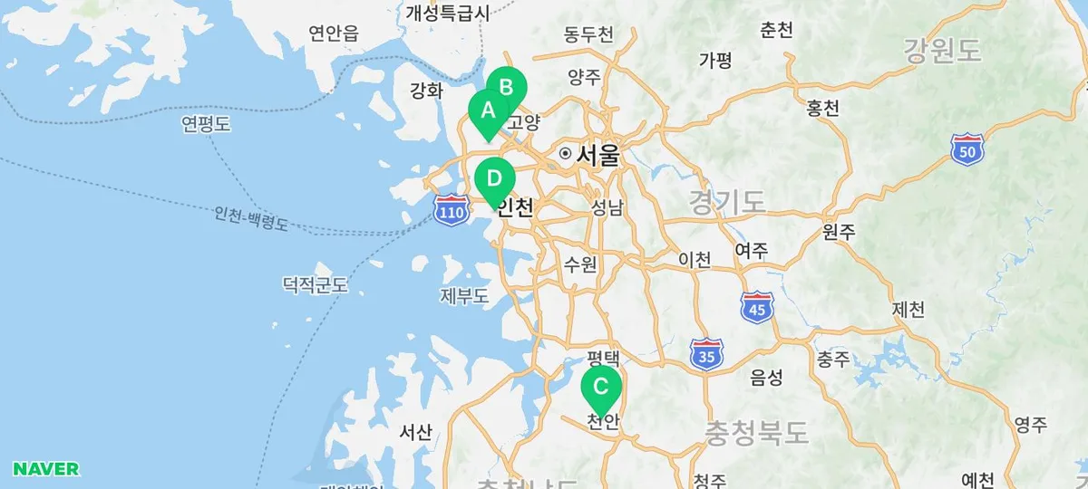 서울 강아지 분양, 도그마루 신뢰도 높은 선택 2026