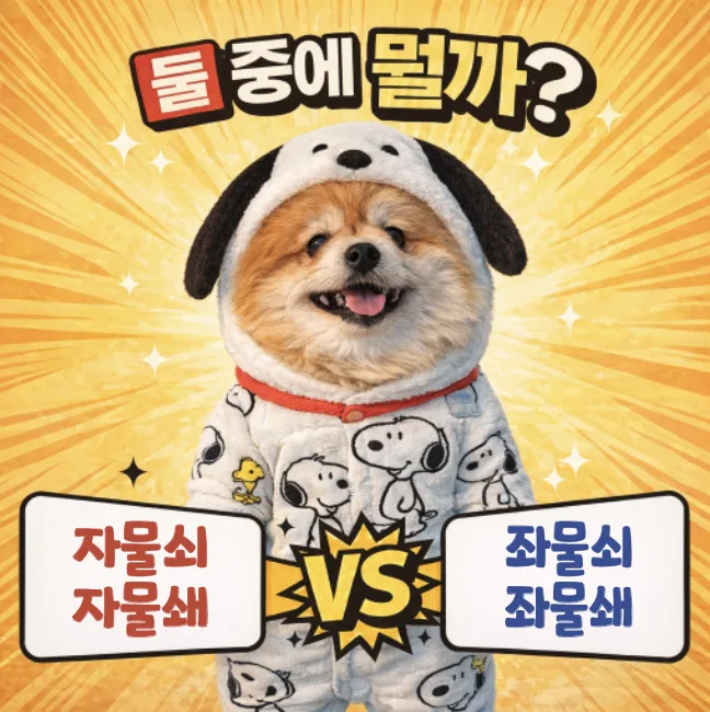 자물쇠 vs 좌물쇠: 2026년 올바른 맞춤법과 어원 완벽 정리