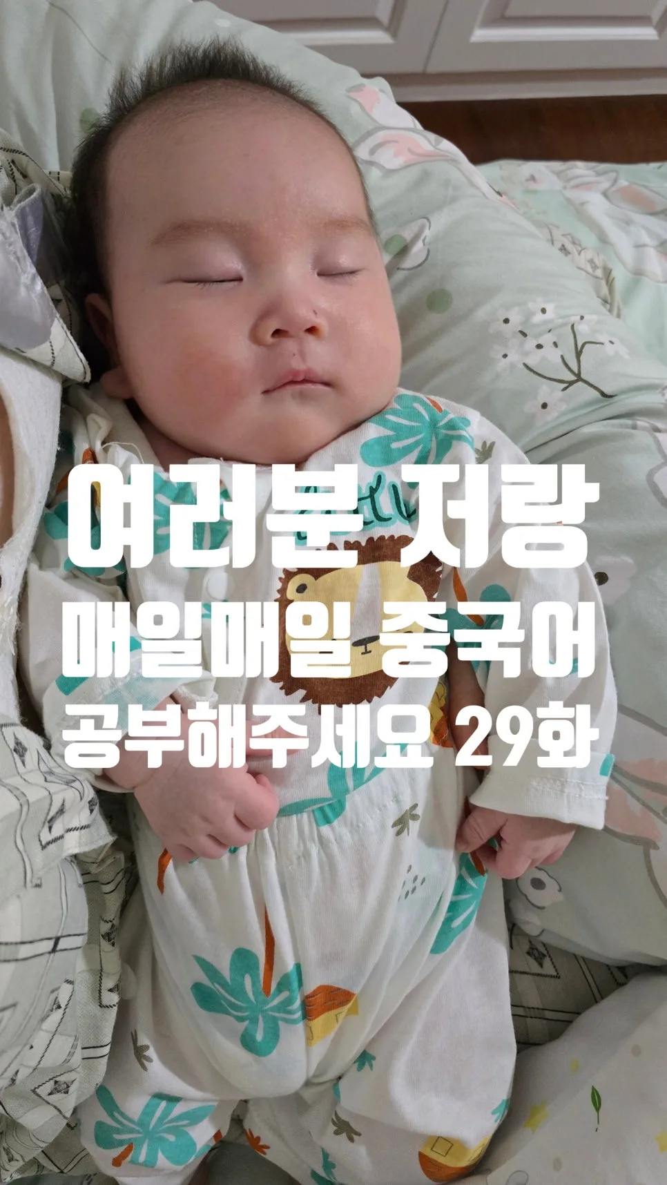 2026년 중국어 동사 마스터: 김선웅 박사 학습법 총정리