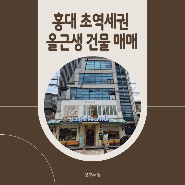 홍대 초역세권 올근생 건물 매매 2026: 사옥/투자 가치 분석