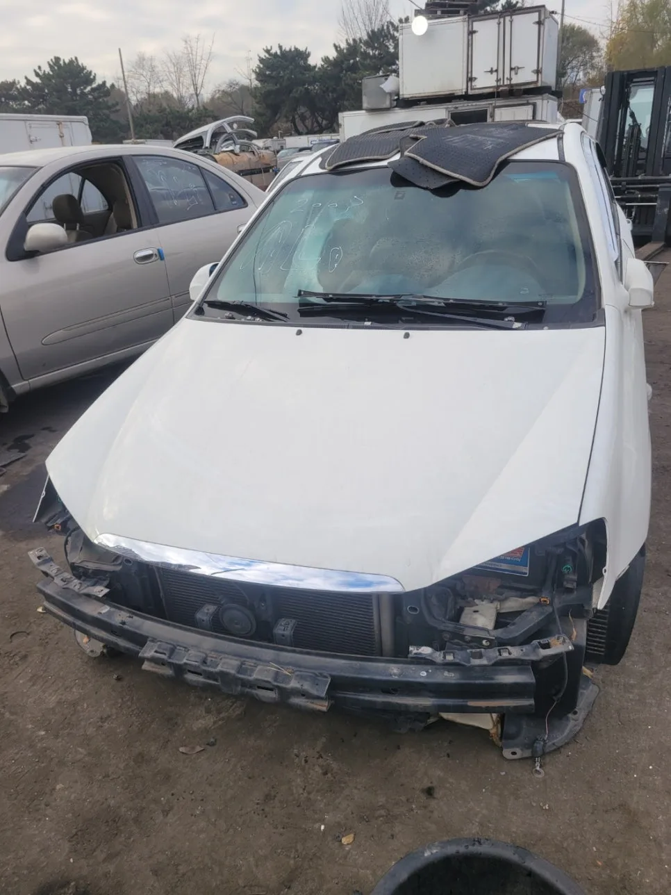 중고차 수출, 실제 받는 금액과 폐차 대비 이득 2026년 총정리