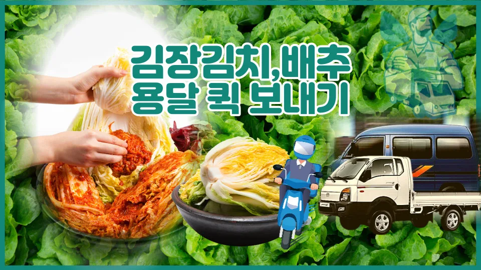 김치 화물택배, 2026년 안전하게 보내는 방법 총정리