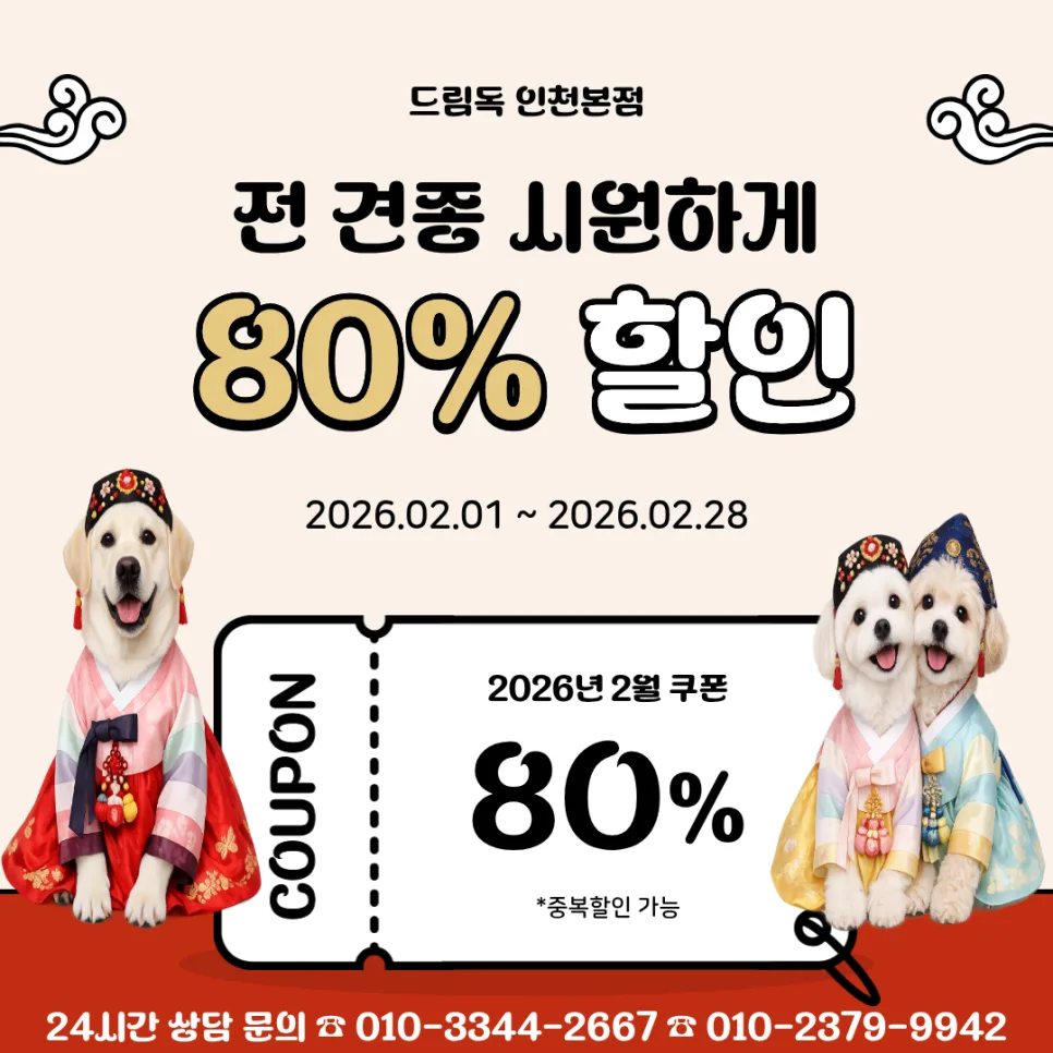 2026년 2월 강아지 분양, 인천 최대 80% 할인 혜택 총정리 — 반려동물 — incheondreamdog