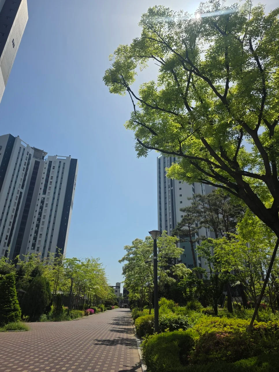 새솔동 아파트 시장 전망 2026: 실거주 중심 분석 2