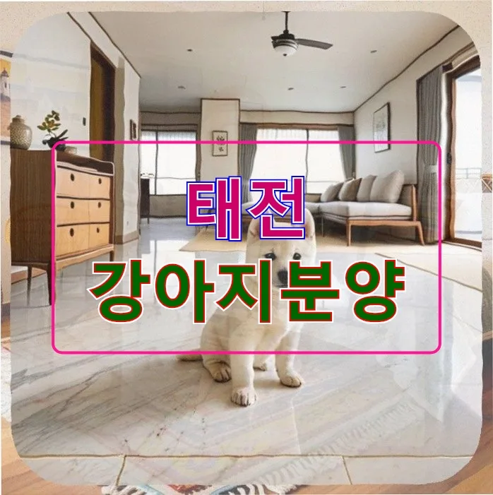 태전 강아지분양 후기: 피부 알레르기 관리 A to Z (2026)