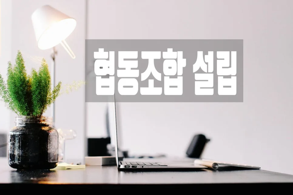 협동조합 설립 절차 완벽 가이드 2026: 장점부터 차이점까지