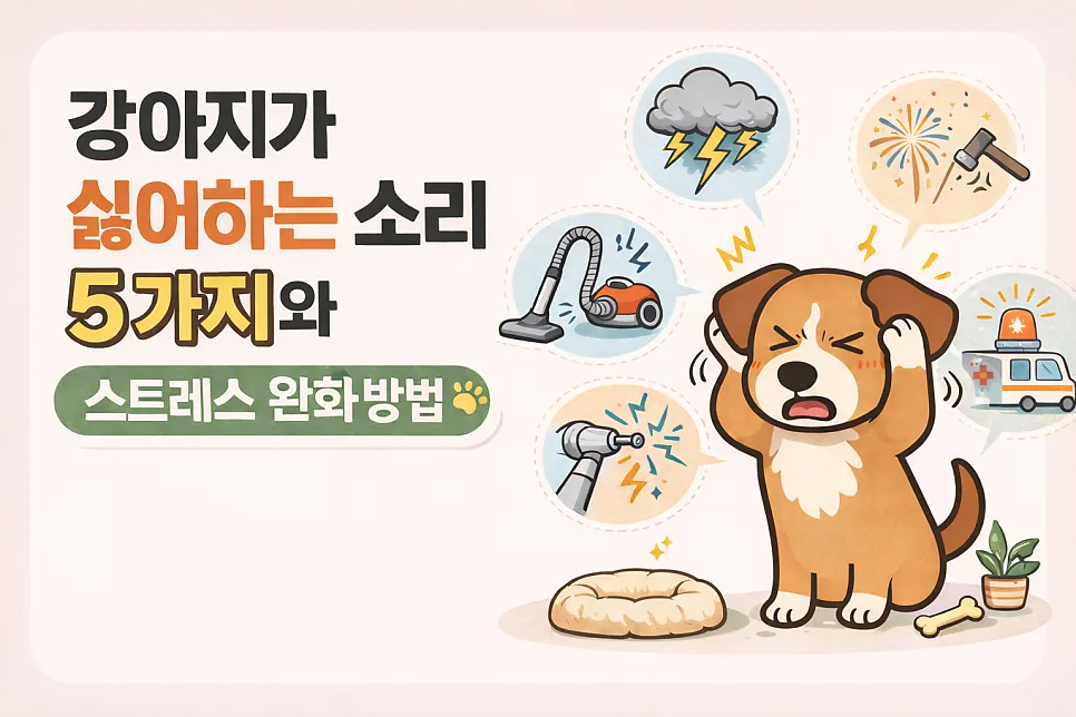 2026년 반려견이 싫어하는 소리 5가지와 스트레스 완화법