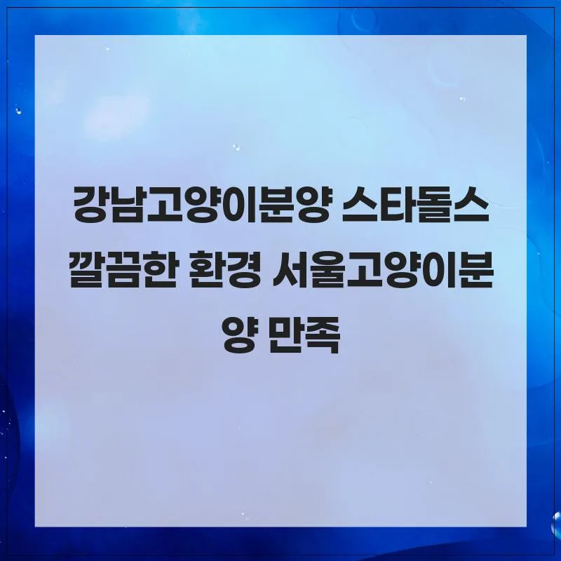 서울 고양이 분양 2026: 스타돌스 경험자 추천 후기