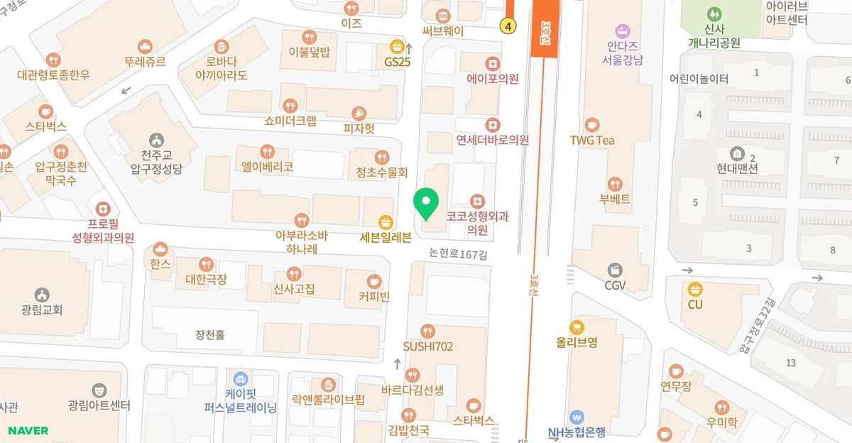 서울 고양이 분양 2026: 스타돌스 경험자 추천 후기 2