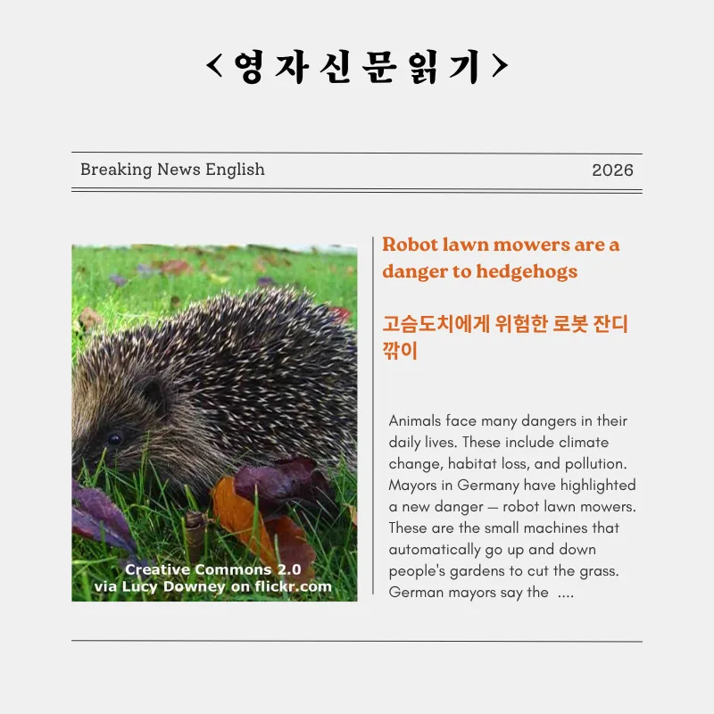 로봇 잔디깎이, 고슴도치 위협하나? 2026년 안전 대책 총정리